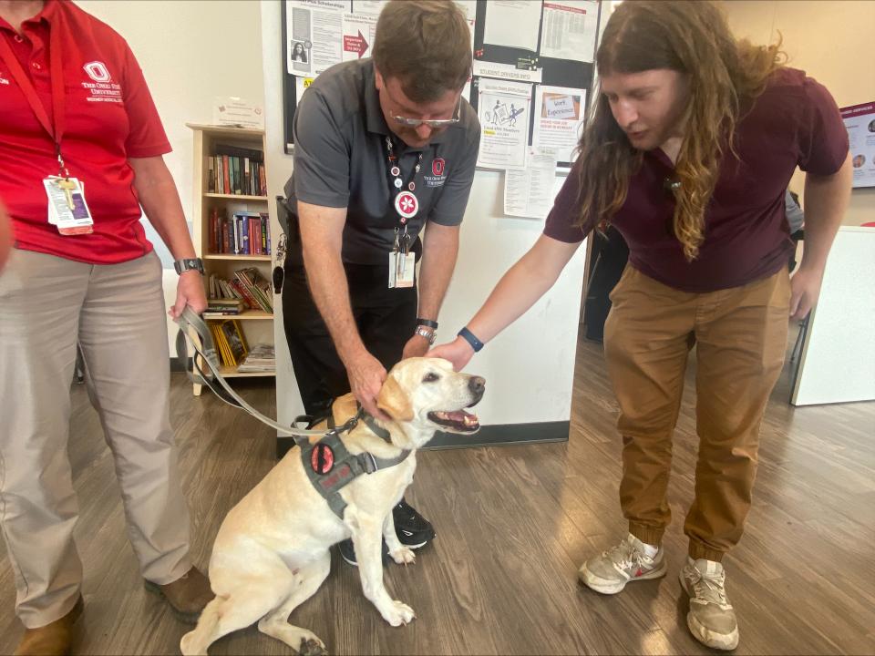 two people petting golden labrador retriever